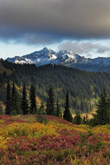 Images Dated 8th October 2023: Autumn hues with the Tatoosh Range in Mount Rainier National Park, Washington State, USA