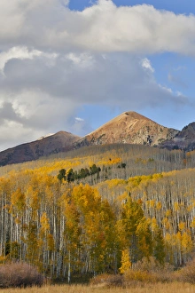Colorado Prints: Autumn Keebler Pass, Colorado, last evening light on mountain range and aspens in