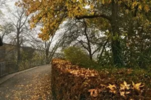 Autumn leaves and walkway from Munot Castle, Schaffhausen, Switzerland