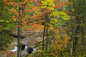 Images Dated 6th October 2008: Autumn maple trees frame O Kun De Kun Falls on the Baltimore River in the Ottawa