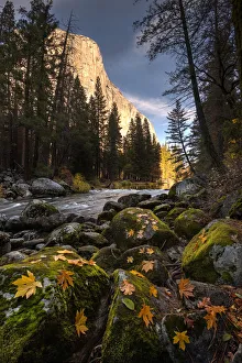 El Capitan Prints: Autumn along Merced River in Yosemite National Park, California
