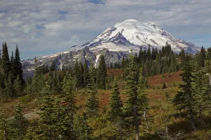 Landscape Prints: Autumn morning, Mount Rainier