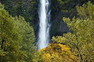 Natural Beauty Prints: autumn, Multnomah Falls, Columbia Gorge, Oregon, USA