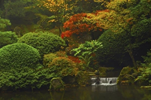 Images Dated 1st November 2011: Autumn at the Portland Japanese Garden: Portland, Oregon, USA