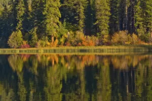 Autumn reflection, Fish Lake, Wenatchee National Forest, Washington State, USA