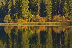 Deciduous Prints: Autumn reflection, Fish Lake, Wenatchee National Forest, Washington State, USA