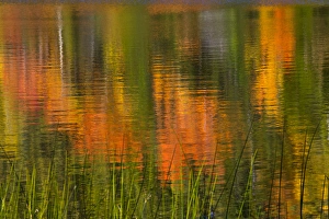 Multi Colored Prints: Autumn Reflections, Bubble Pond, Acadia National Park, Maine, USA