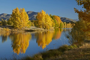 Autumn reflections in Kellands Pond, near Twizel, Mackenzie District, South Canterbury