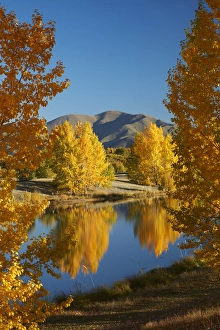 Quiet Prints: Autumn reflections in Kellands Pond, near Twizel, Mackenzie District, South Canterbury