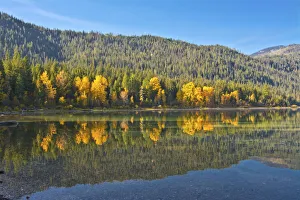 Images Dated 17th October 2018: Autumn reflections, Lake Wenatchee, Wenatchee National Forest, Washington State, USA