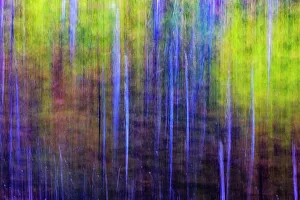 Blurred Prints: Autumn reflections in Lost Lake in Glacier National Park, Montana, USA