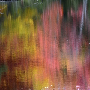 Palermo Prints: Autumn reflections, Sheepscot River, Palermo, Maine, USA