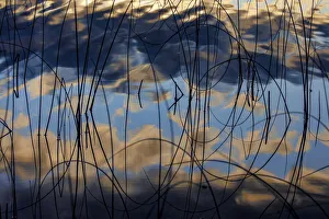 Prints of Autumn reflections in Spencer Lake near Whitefish, Montana, USA Images Dated 2020 May: Autumn reflections in Spencer Lake near Whitefish, Montana, USA