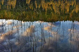 Images Dated 22nd May 2020: Autumn reflections in Spencer Lake near Whitefish, Montana, USA