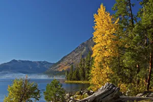 Autumn scene, Lake Wenatchee, Wenatchee National Forest, Washington State, USA