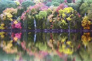 autumn trees; reflection; Great Long Pond; Somesville; Mount desert Island; Maine; USA