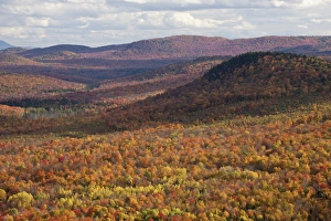 Northeast Prints: Autumn in Vermont