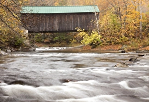 Images Dated 8th October 2009: Autumn in Vermont