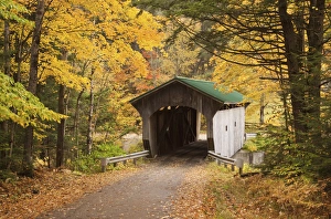 Images Dated 8th October 2009: Autumn in Vermont