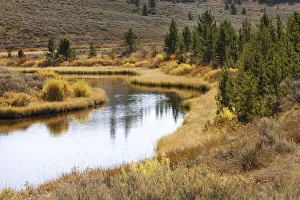 Sagebrush Prints: Autumn view of Gardiner River, Yellowstone National Park, Wyoming