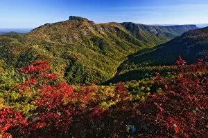 Images Dated 21st October 2006: Autumn view of Linville Gorge often called the Grand Canyon of North Carolina, Pisgah