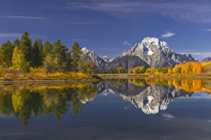 Willow Prints: Autumn view of Mount Moran and Snake River, Grand Teton National Park, Wyoming