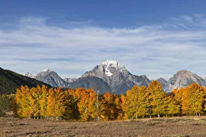 Autumn view of Mount Moran and Snake River, Grand Teton National Park, Wyoming