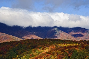 Images Dated 21st October 2006: Autumn view of Southern Appalachian Mountains from Blue Ridge Parkway, near Grandfather Mountain
