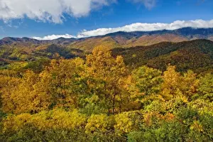Images Dated 21st October 2006: Autumn view of Southern Appalachian Mountains from Blue Ridge Parkway
