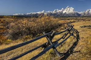 Autumn willows and rail fence and Teton range, Grand Teton National Park, Wyoming Autumn willows and rail fence and Teton range, Grand Teton National Park, Wyoming