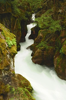 Images Dated 12th July 2010: Avalanche Creek, Glacier National Park, Montana, USA