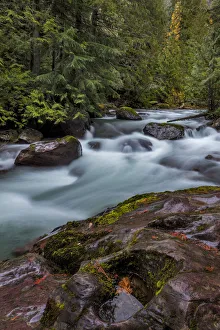 Cascades Prints: Avalanche Creek in Glacier National Park, Montana, USA