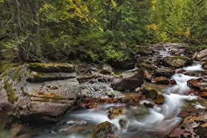 Images Dated 13th October 2018: Avalanche Creek in Glacier National Park, Montana, USA