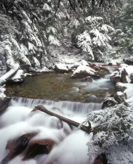 Images Dated 31st August 2006: Avalanche Creek in Glacier National Park Montana after a snowfall