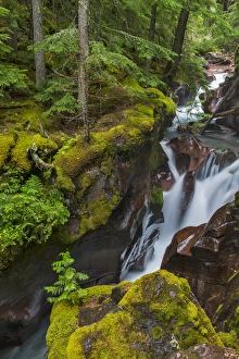 Images Dated 3rd September 2014: Avalanche Creek Gorge in Glacier National Park, Montana, USA