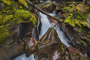 Avalanche Creek Gorge in Glacier National Park, Montana, USA