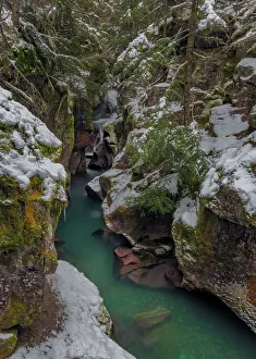Images Dated 26th January 2022: Avalanche Creek Gorge in winter in Glacier National Park, Montana, USA