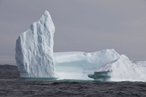 Images Dated 23rd June 2016: Avalon Peninsula