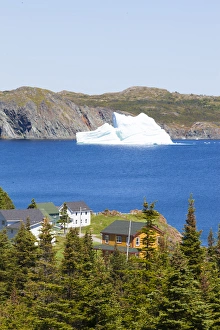 Images Dated 12th October 2017: Avalon Peninsula