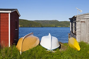 Avalon Peninsula