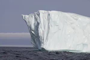 Avalon Peninsula
