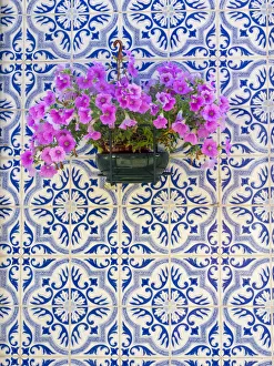 Pastel Color Prints: Aver buildings, colorful European facade of house, Portugal