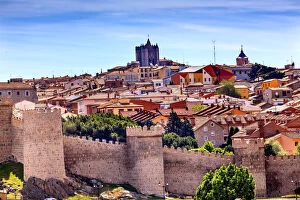 Avila Ancient Medieval City Walls Castle Swallows Castile Spain