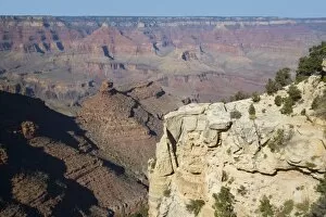 Images Dated 6th November 2007: AZ, Arizona, Grand Canyon National Park, South Rim, view from the village rim trail