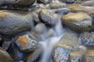Images Dated 13th November 2007: AZ, Arizona, Oak Creek Canyon, rocks and creek