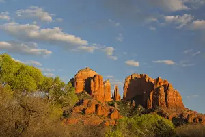 Arizona Prints: AZ, Arizona, Sedona, Crescent Moon Recreation Area, Red Rock Crossing; Cathedral Rock