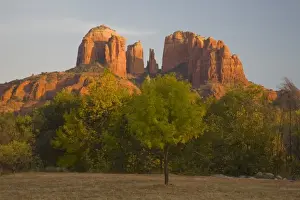 Images Dated 5th November 2007: AZ, Arizona, Sedona, Crescent Moon Recreation Area, Red Rock Crossing, Cathedral Rock