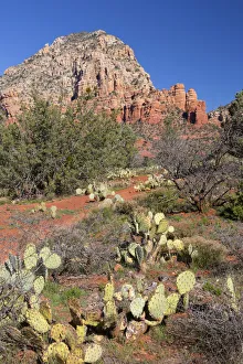 Images Dated 10th March 2016: AZ, Sedona, Red Rock Country, Thunder Mountain