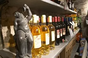 Bacchus. Domaine Pietri-Geraud Roussillon. The wine shop and tasting room. France
