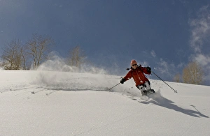 Woman Prints: Backcountry powder skiing Big Cottonwood Canyon, Uinta- Wasatch-Cache National Forest